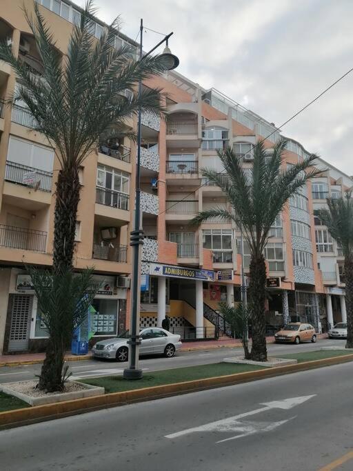 Appartement Torrevieja Eksteriør billede